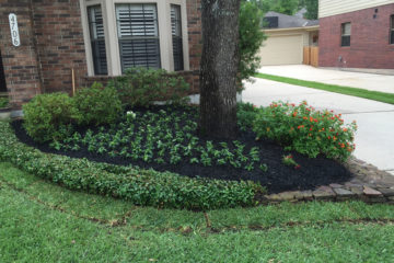 Planting & Shrub trimming