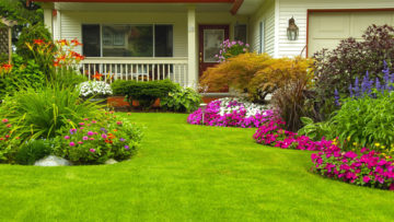 3 Lawn Care Tips for the First-Time Homebuyer